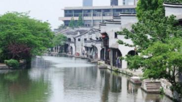 救援可爱小松鼠